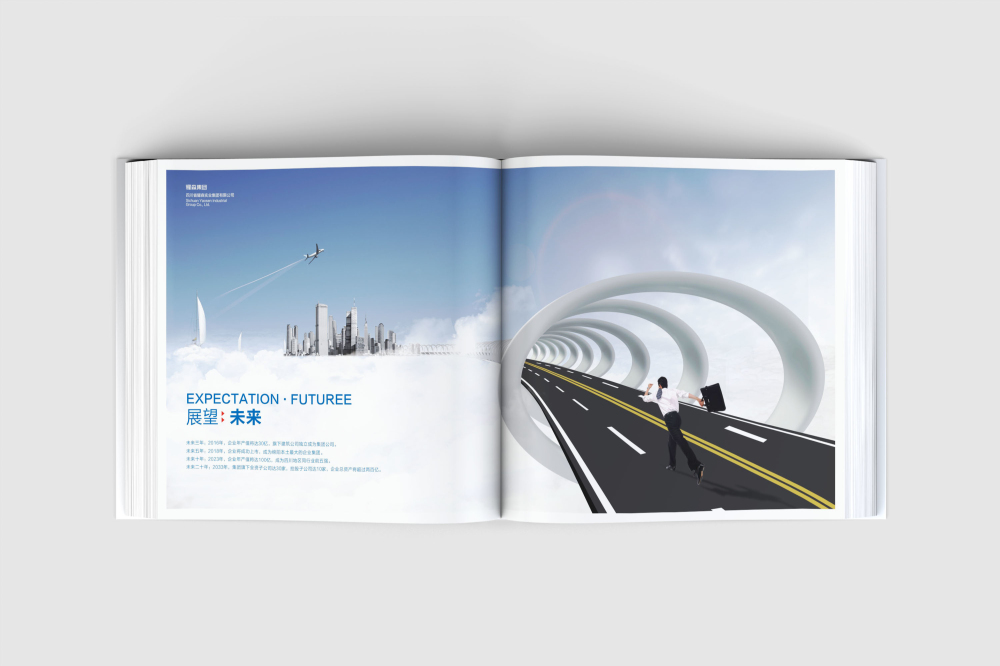 岭东区画册设计